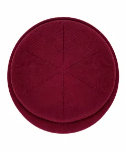 Alternative view of AllStar Logo Knit Hat