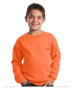 Embroidered Logo Kid’s Crewneck Sweatshirt