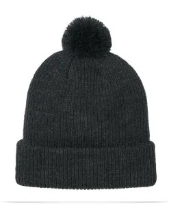 Alternative view of The North Face Pom Beanie